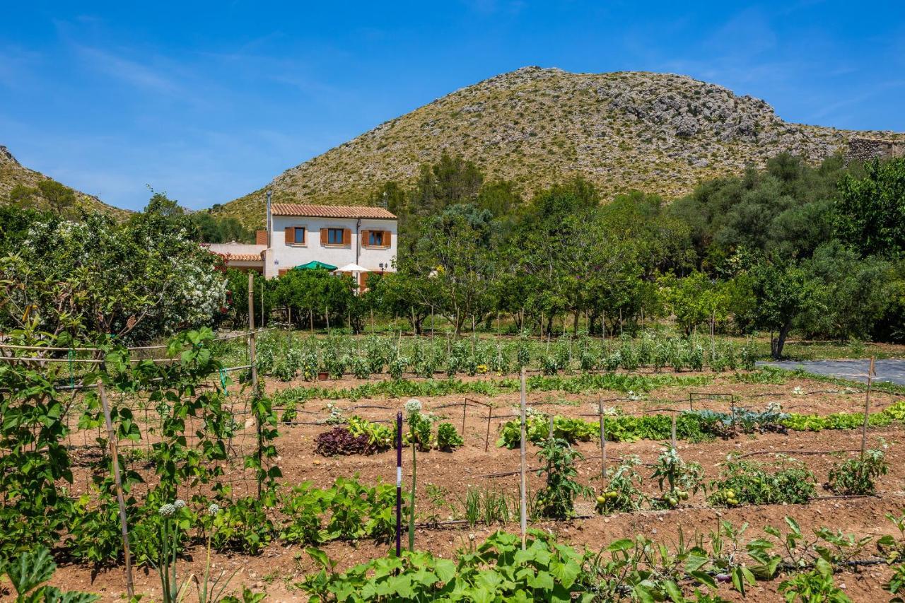 Villa Maria Port de Pollenca Εξωτερικό φωτογραφία